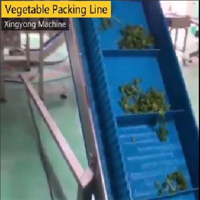 High angle conveyor