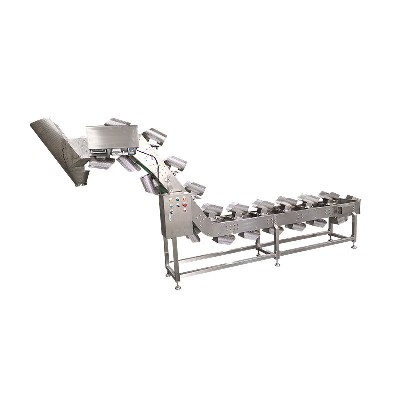 Manufacturer's direct supply of stainless steel bucket elevator automatic food conveyor assembly line conveying equipment supports customization